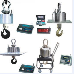 精準高效，源頭保障——3噸行車電子鉤頭秤廠家直銷，打造可靠工業稱重解決方案